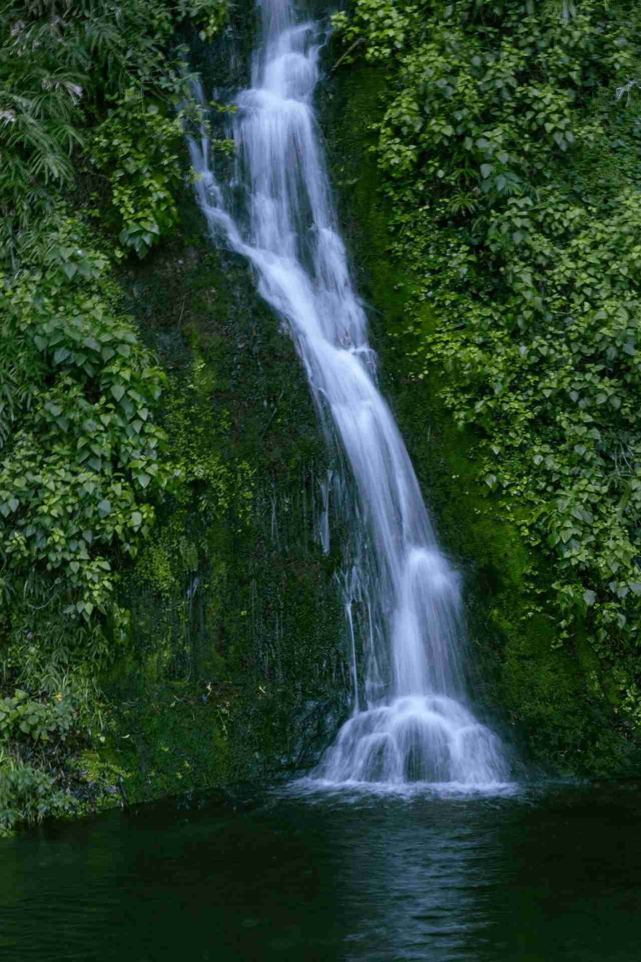 Centennial Garden Waterfall by Charlie Charoenwattana