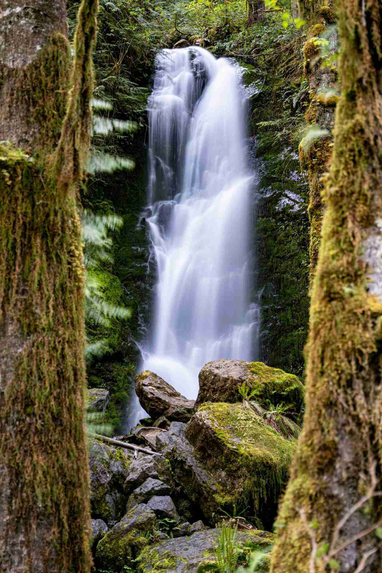 Merriman Falls by Jesse Collins