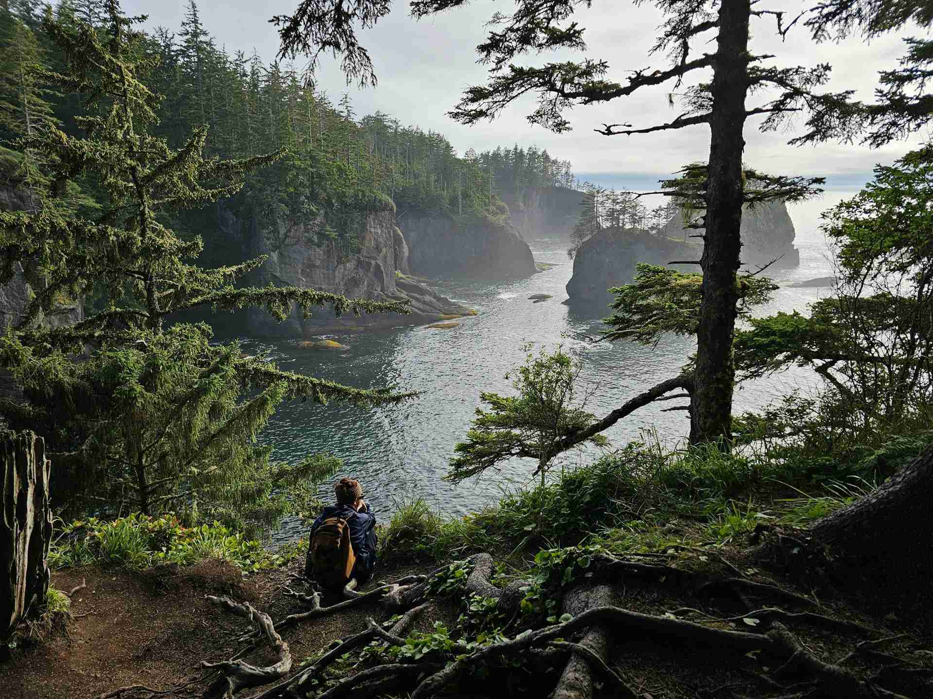 Cape Flattery by Hasmik Ghazaryan Olson