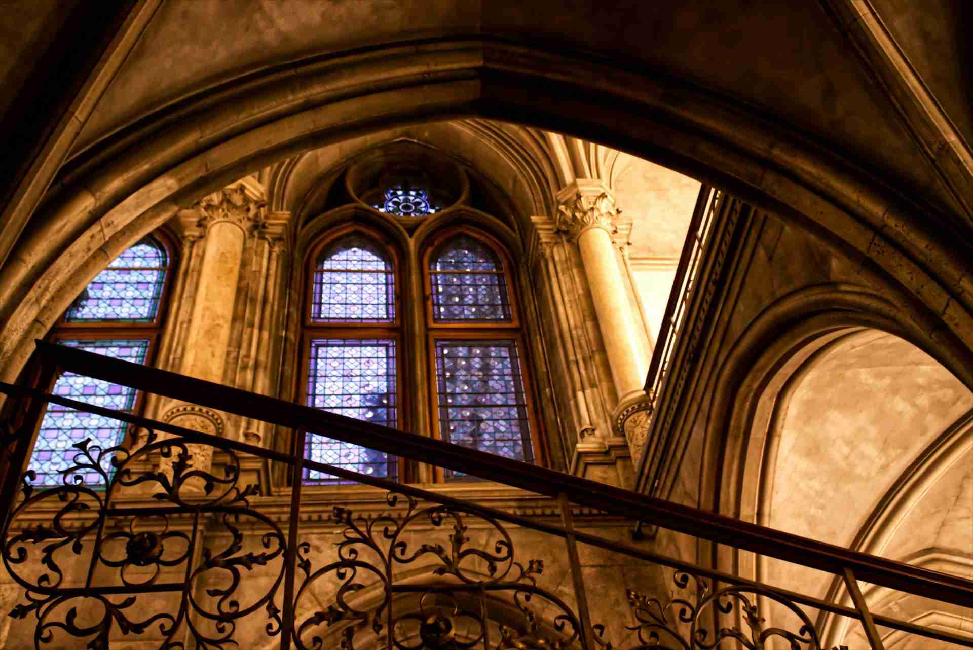 Vienna City Hall (Rathaus) by Samar Al Bradan