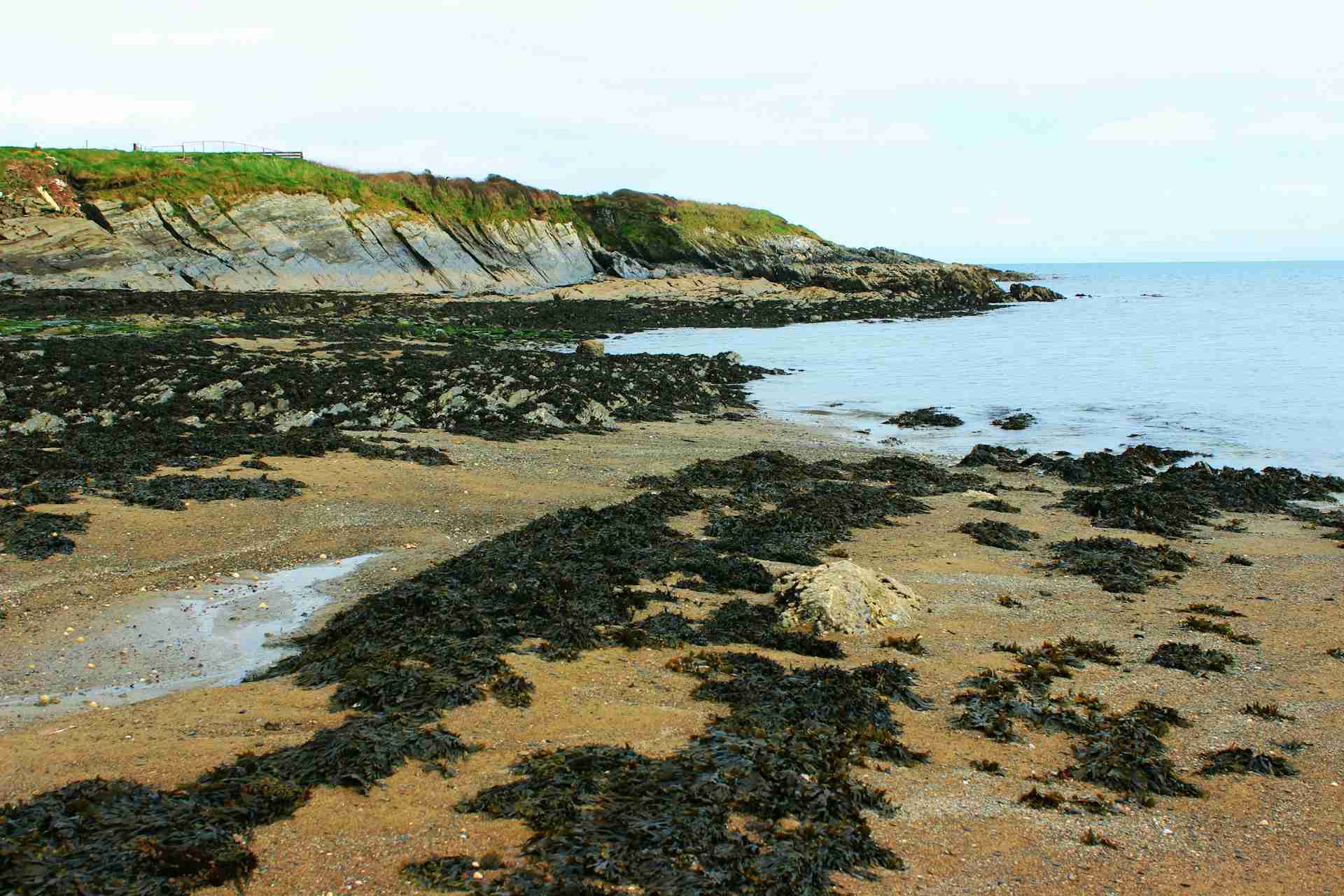 Garretstown Beach by Tina Kuper