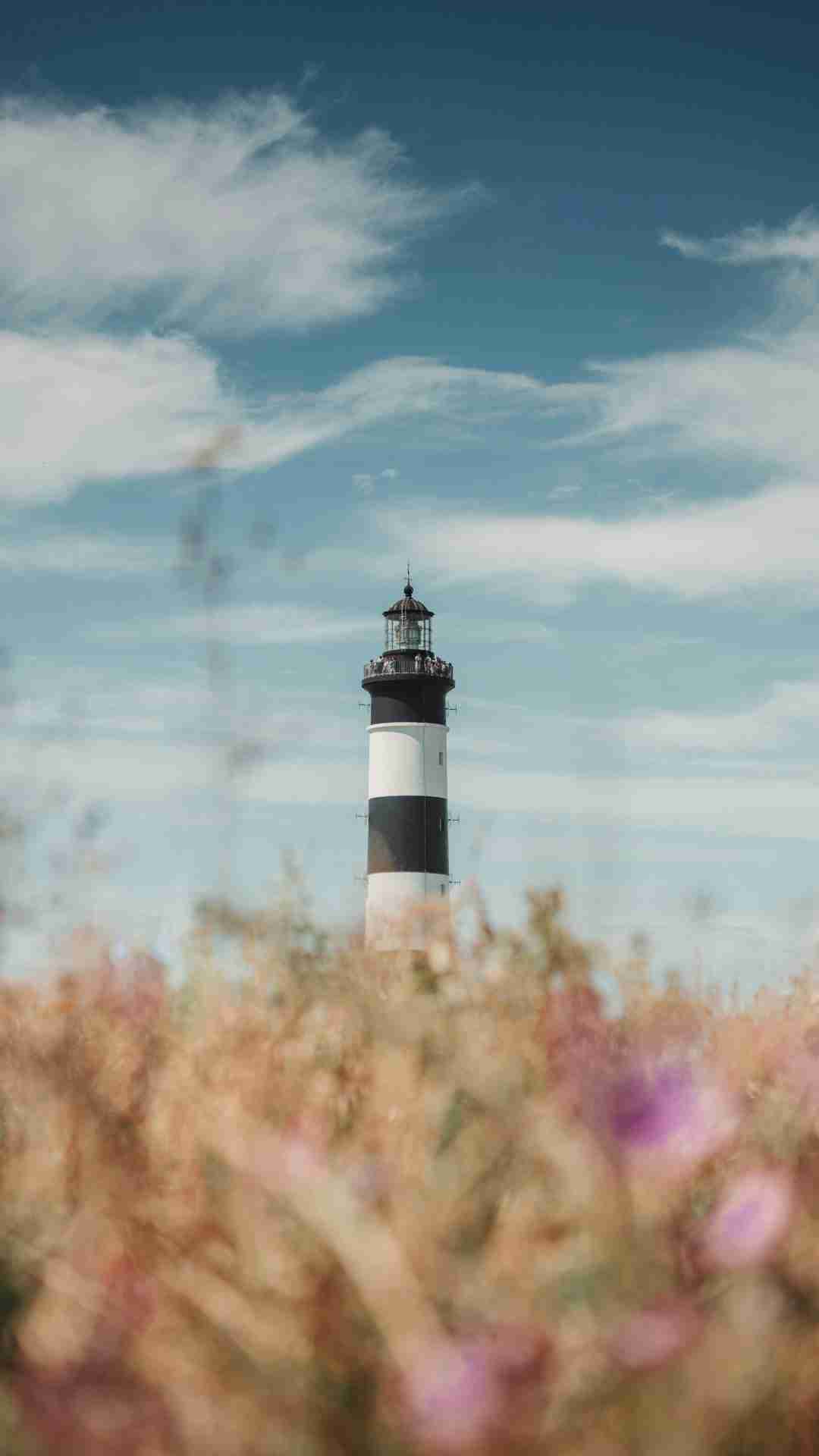 Phare de Chassiron by Jules Bassoleil