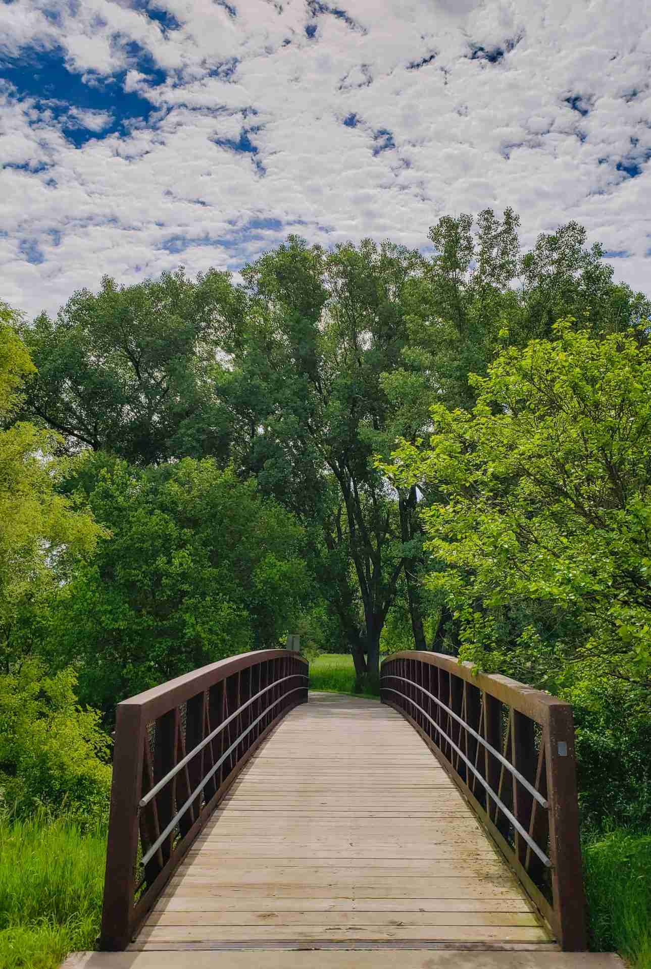 Wehrspann Lake Bridge by Jeffrey Hamilton