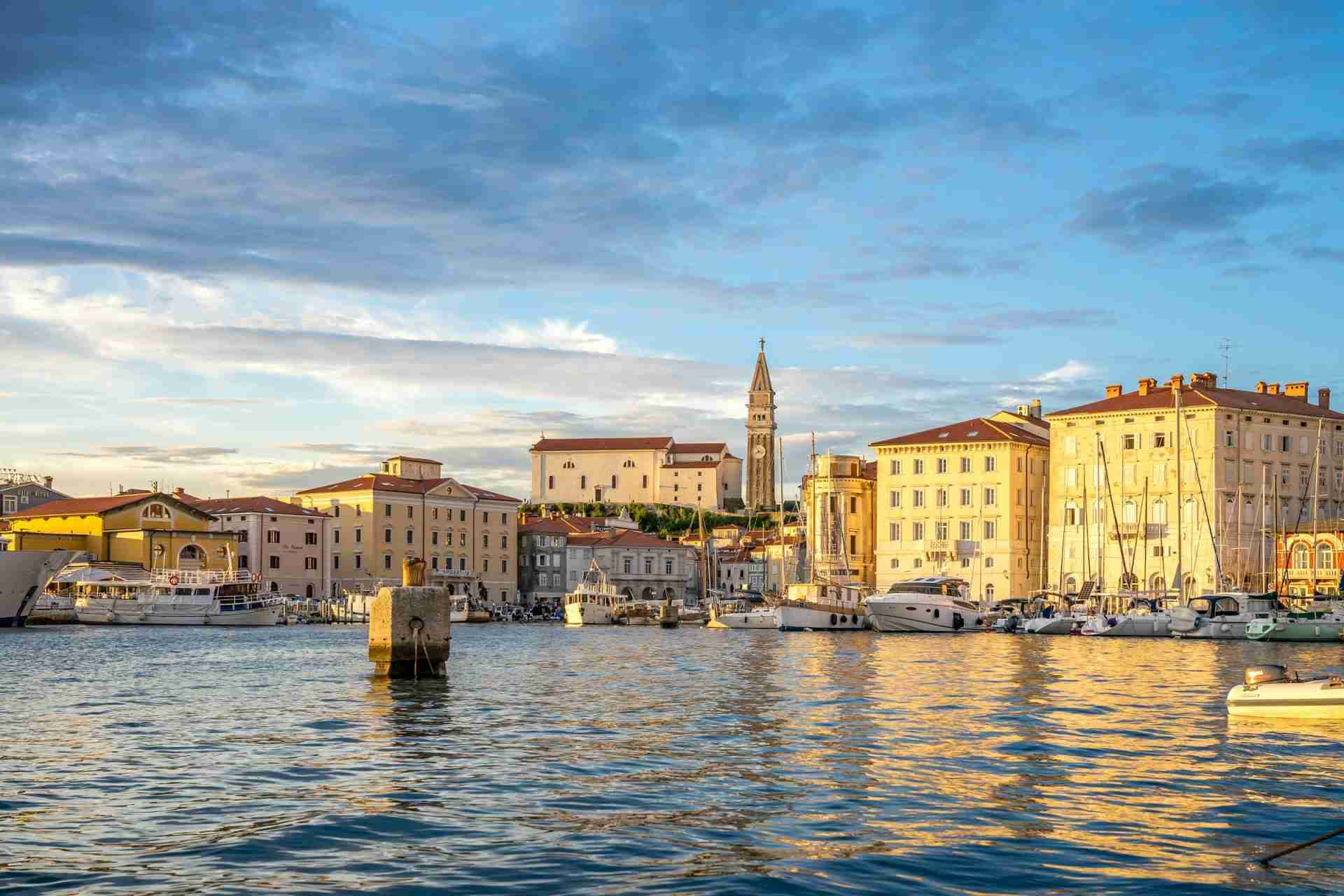 Piran Harbour by Leonhard Niederwimmer