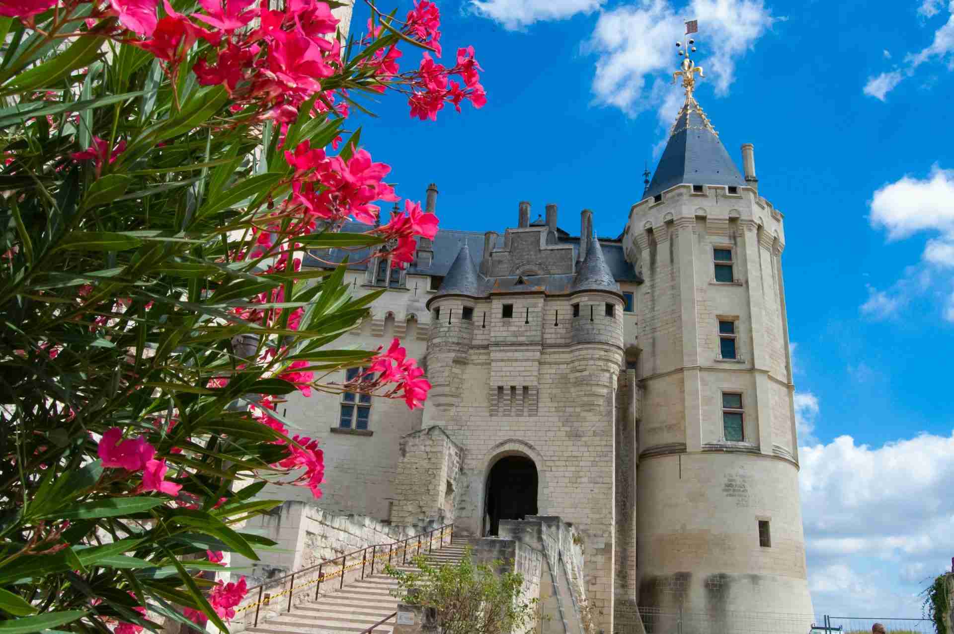 Château-Musée de Saumur by Veronica Reverse