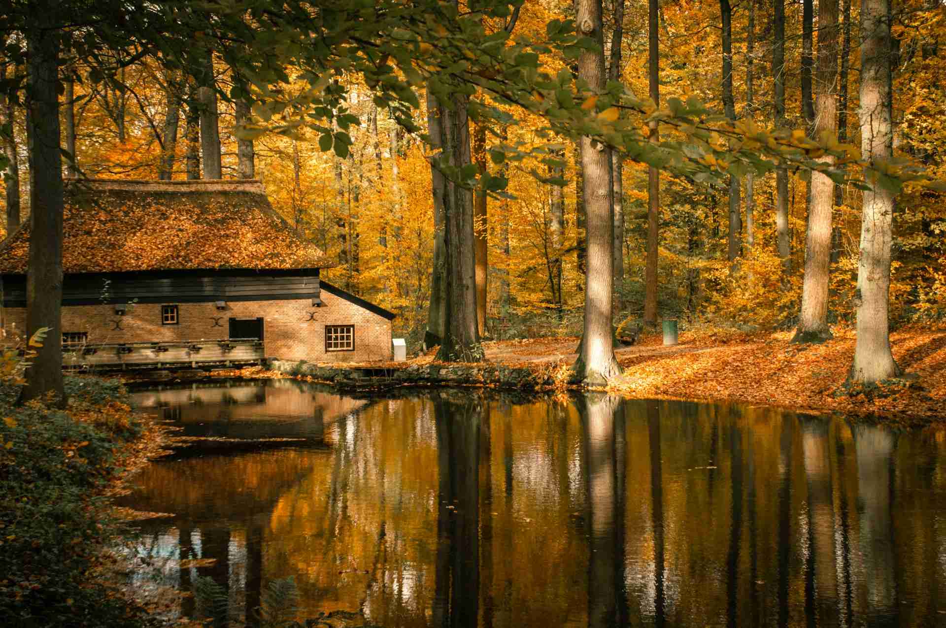 Nederlands Openluchtmuseum by Jos Zwaan