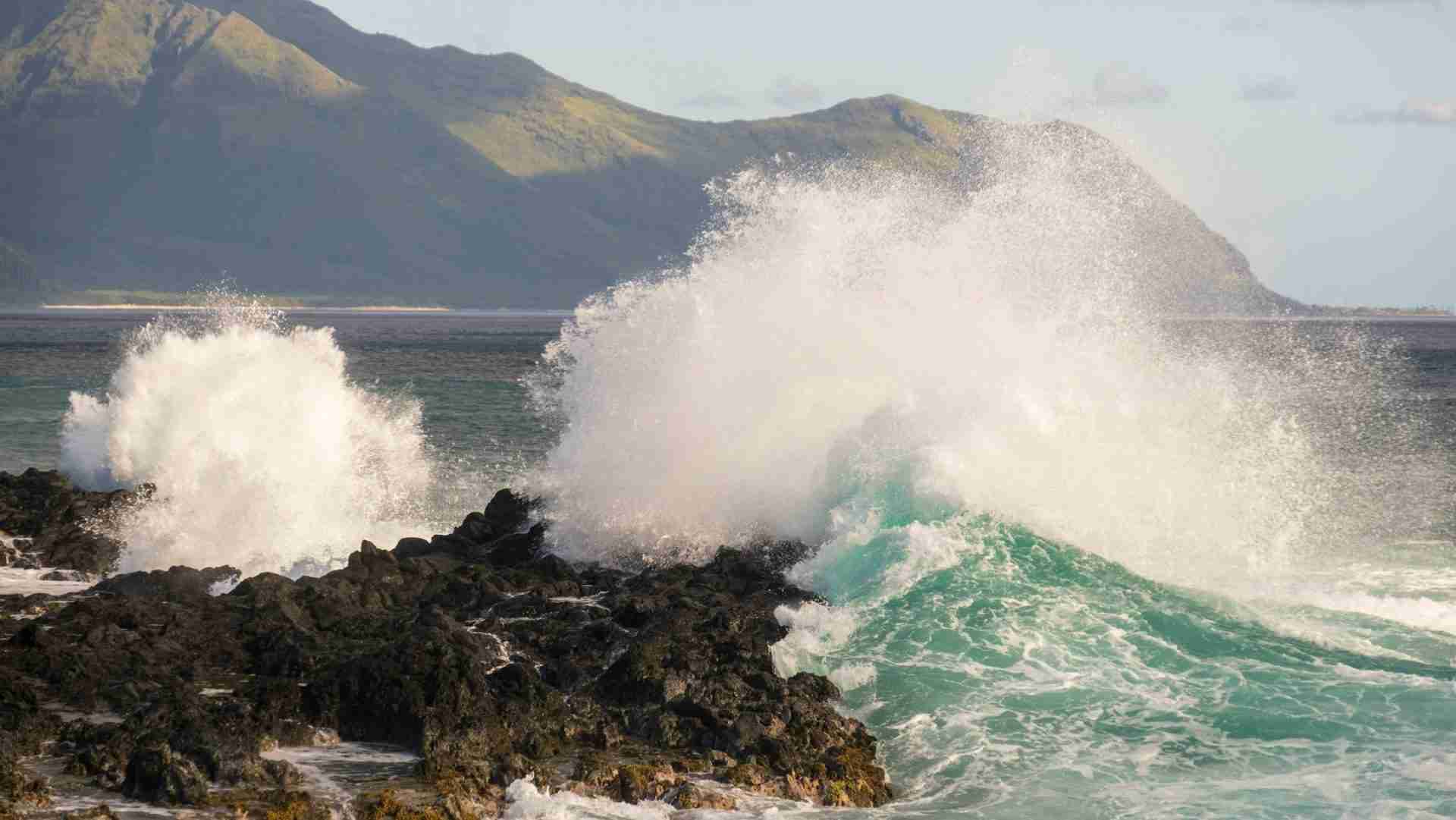 Ka‘Ena Point Natural Area Reserve by DJ