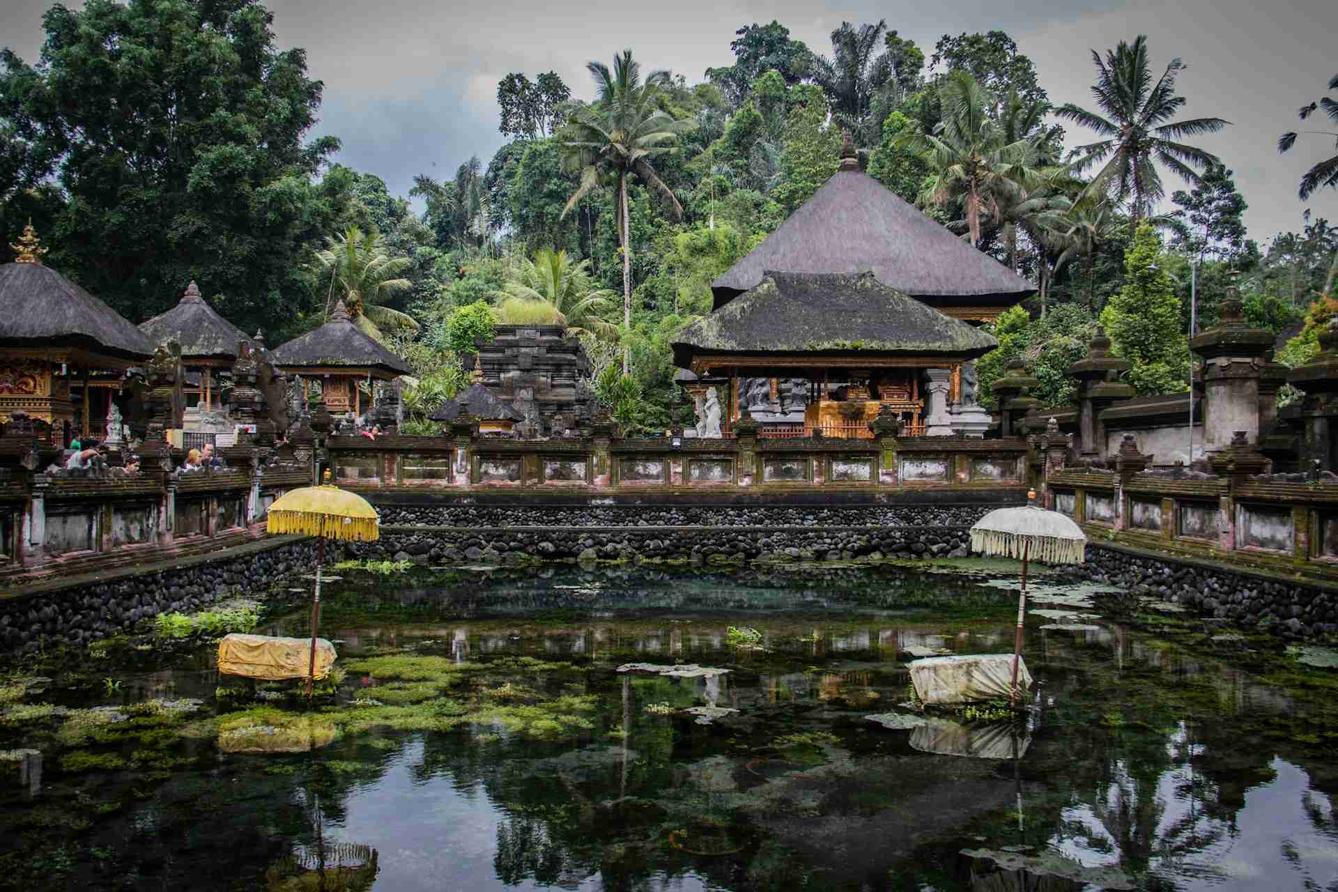 Pura Tirta Empul by Nick Fewings