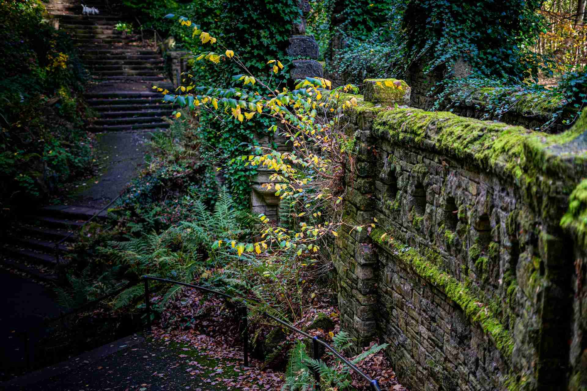 Beaumont Park by Jonathan Kane