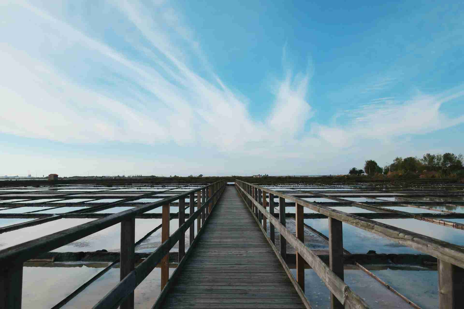 Observatório de Aves, Salinas de Aveiro by Pedro de Sousa