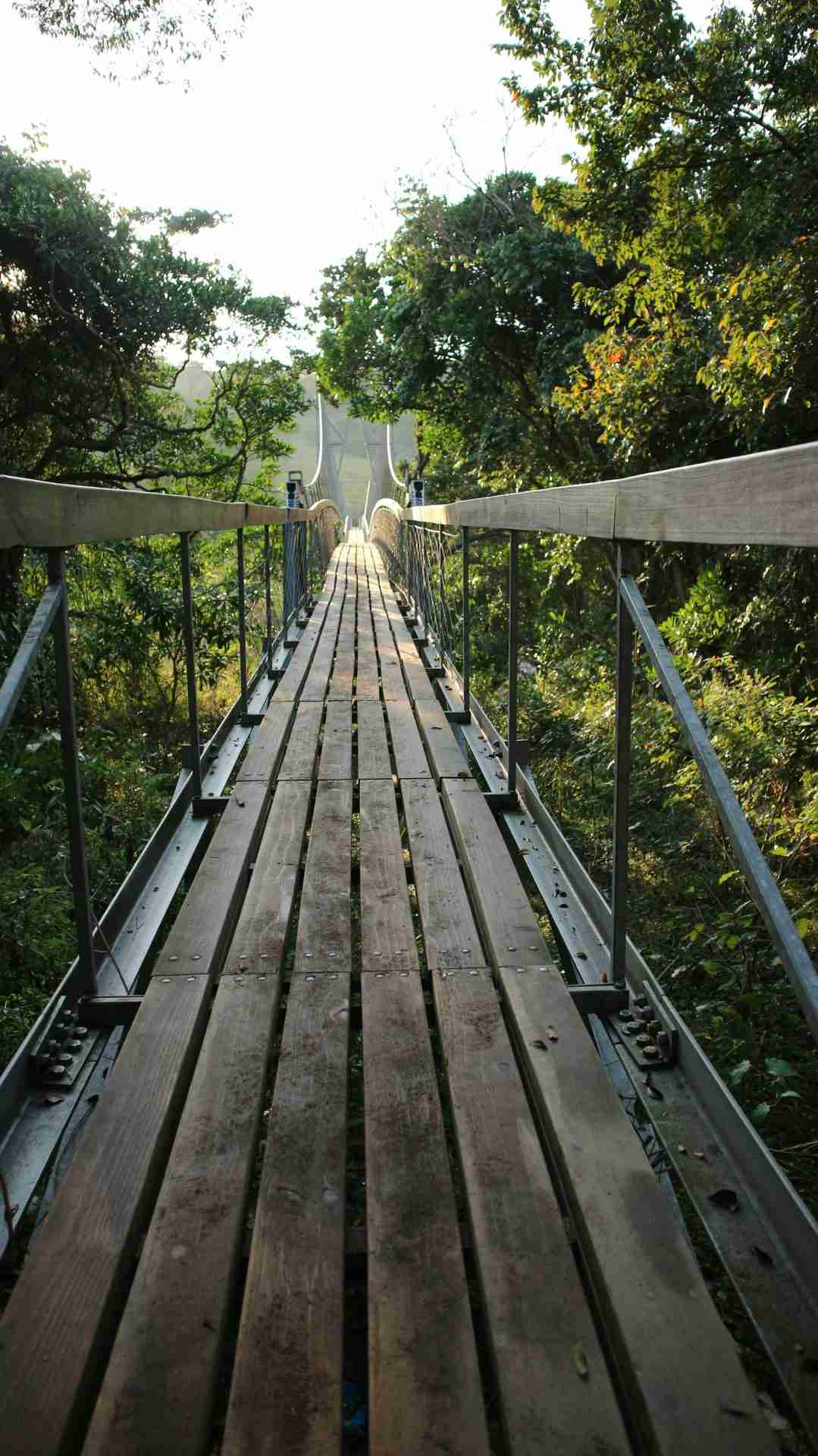 Mzamba Suspension Bridge by Arthur Hickinbotham