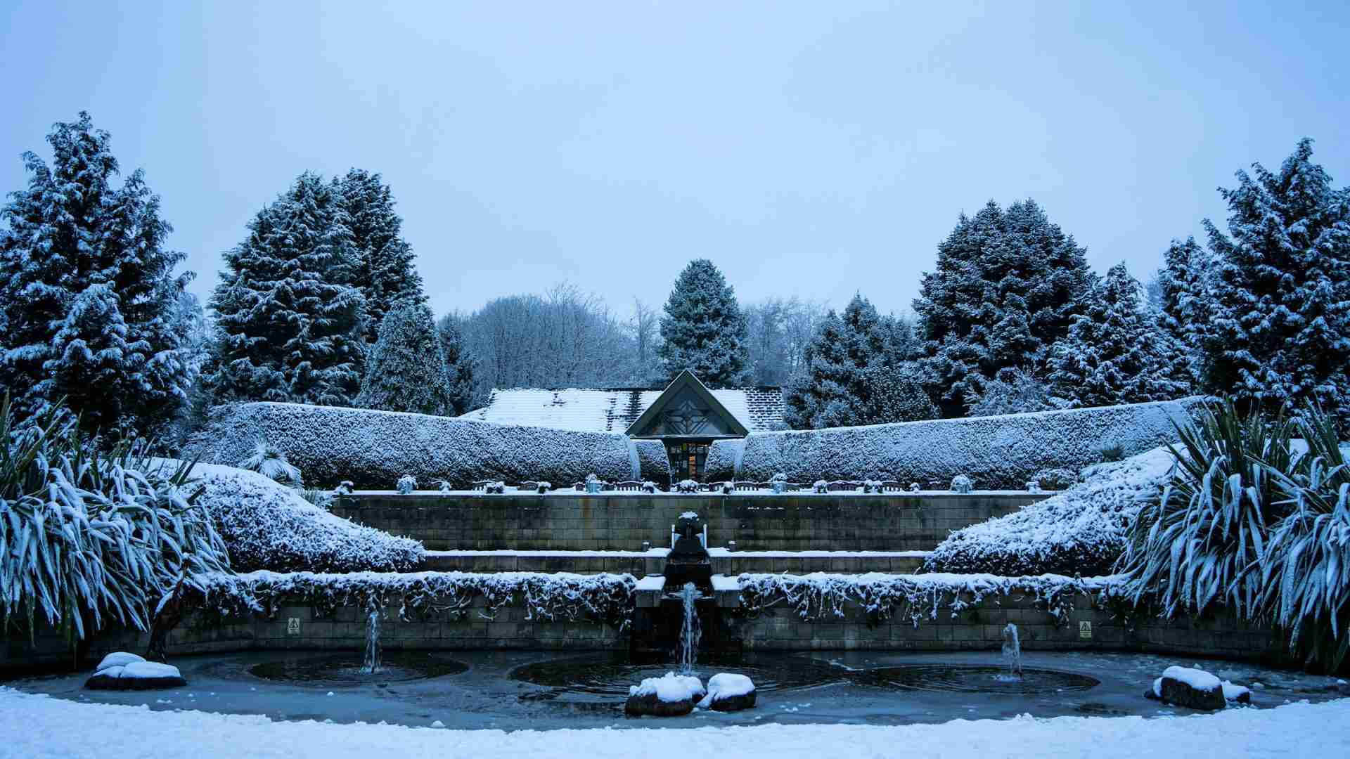 Durham Botanic Garden by Jeffrey Zhang