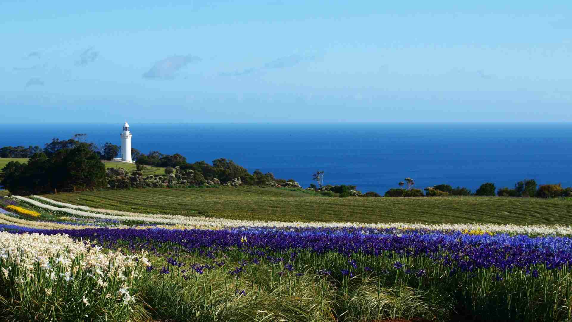 Table Cape Lookout by RE Walsh