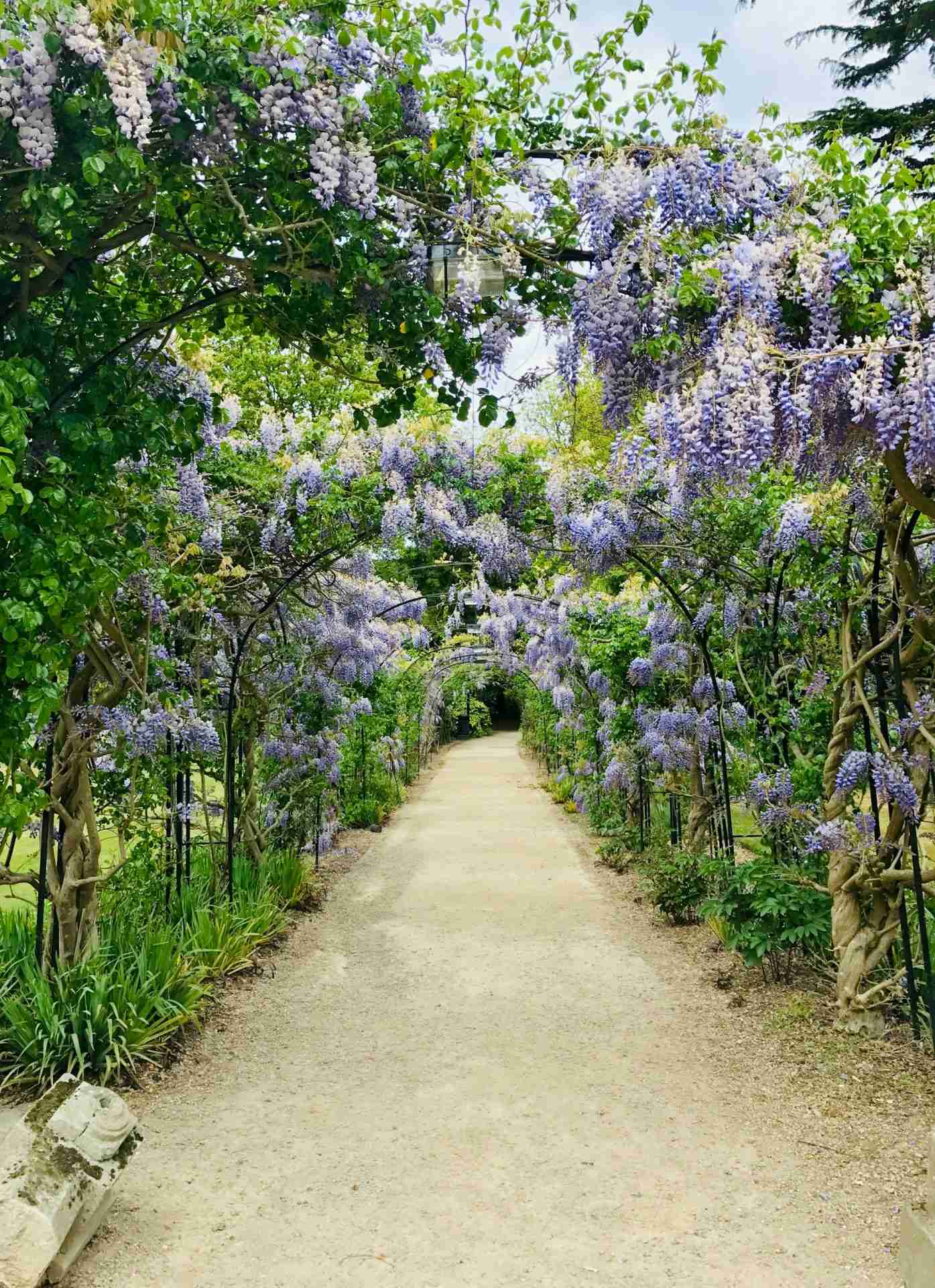 Roehampton Paradise Corridor by Carlita Benazito