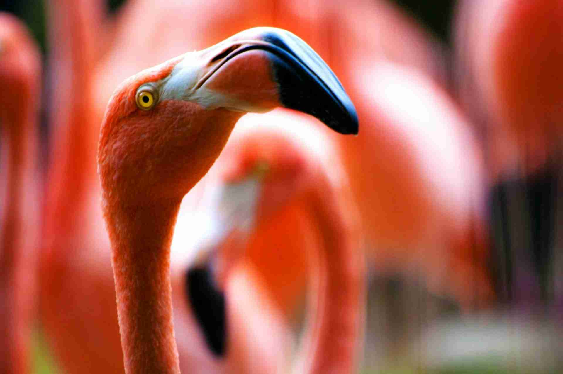 The Maryland Zoo in Baltimore by Jo Wroten