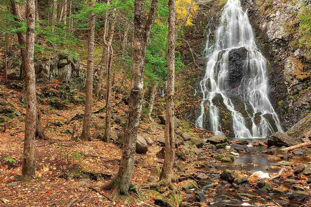 Hays Falls – Photo by Nicolas Raymond