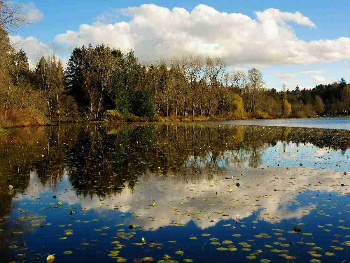 Deer Lake – Photo by Mike