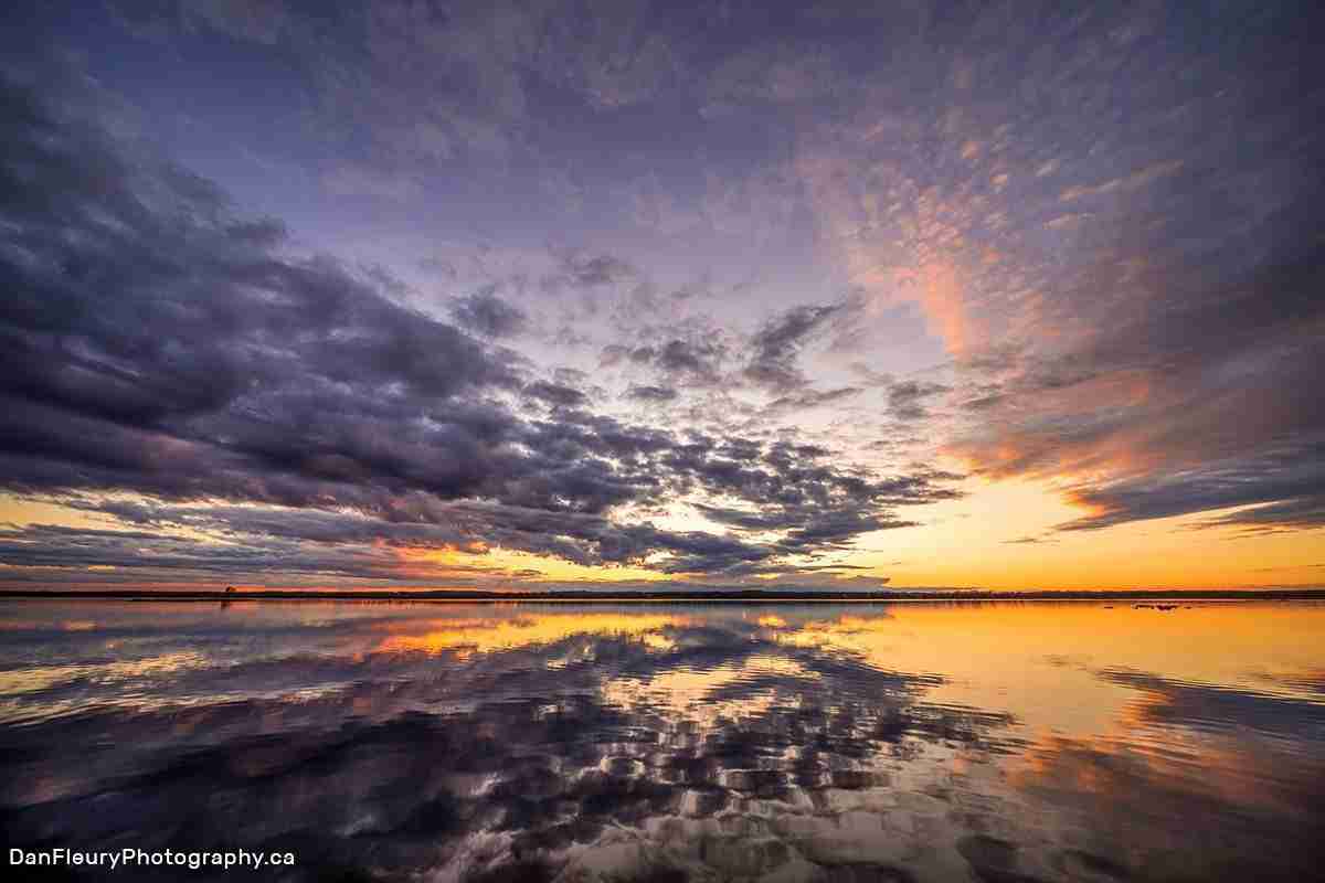 Camden Lake Provincial Wildlife Area – Photo by Dan Fleur