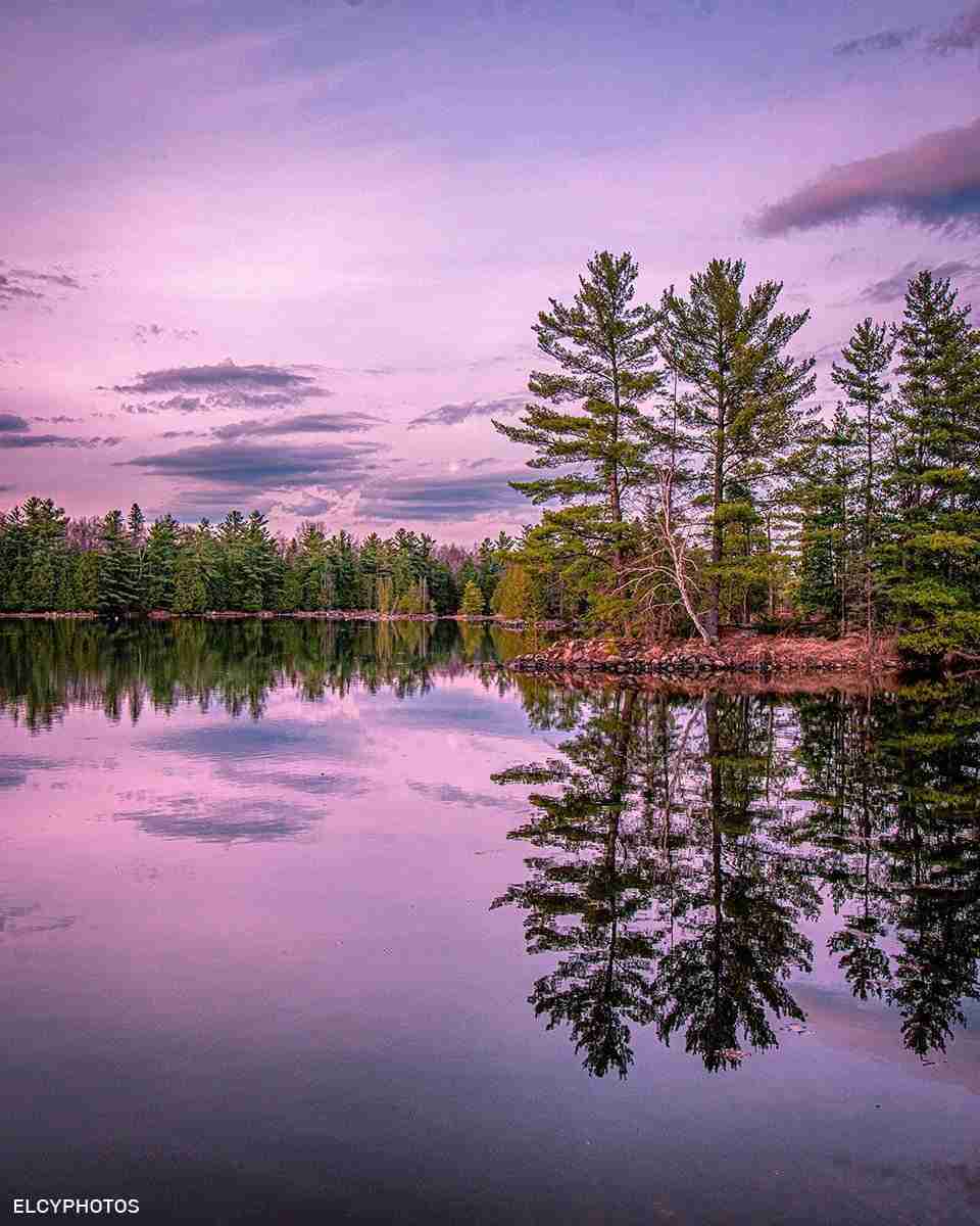Morris Island Conservation Area – Photo by Lana