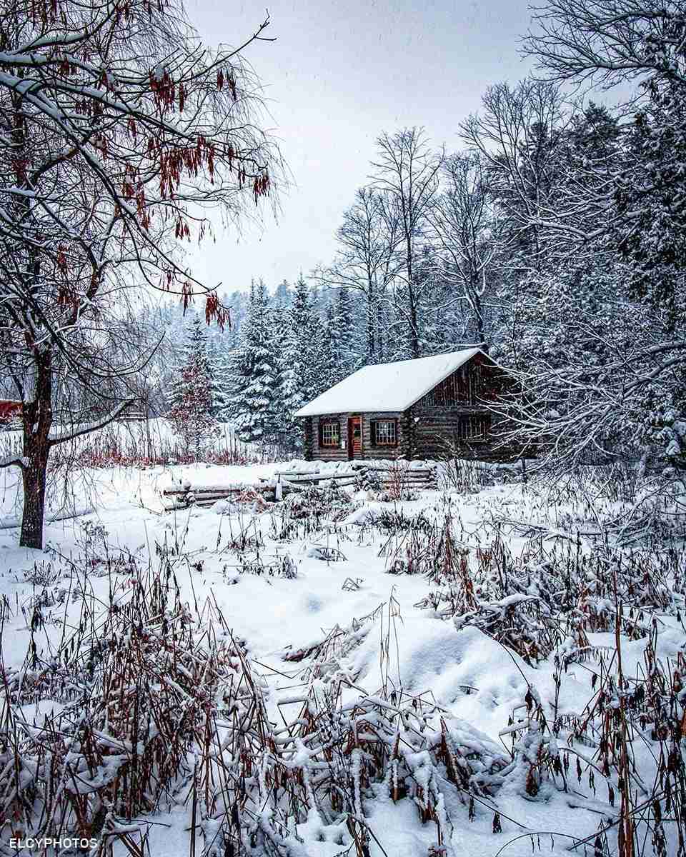 Log Cabin by Lana
