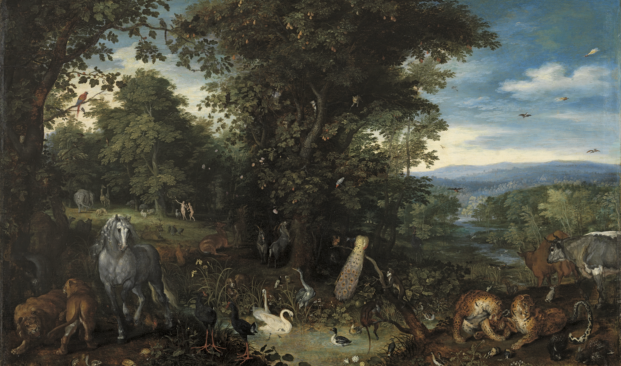 Big Beautiful Photos