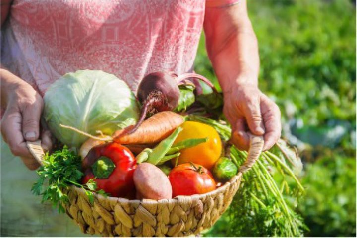 Thumbnail-vegetables