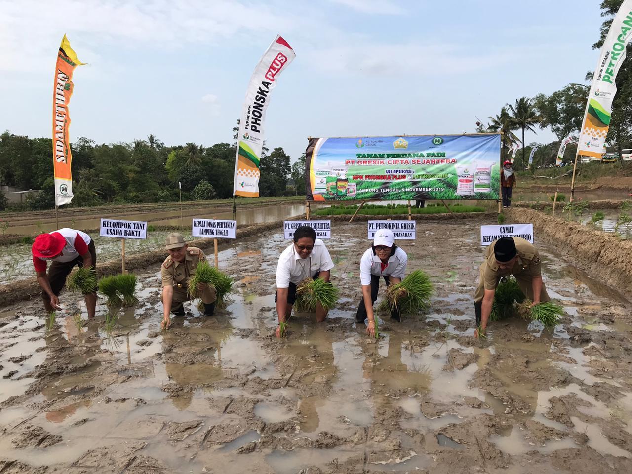 Pg dirsar lampungtengah