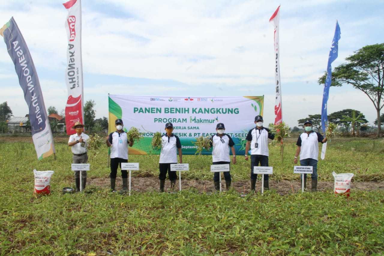 PG Panen Kangkung Program Makmur