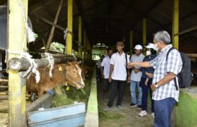Ukur Kebermanfaatannya Bagi Anggota & Masyarakat, Direktur Operasi Dan Produksi Petrokimia Gresik Tinjau Langsung Program Comdev “Literasi”