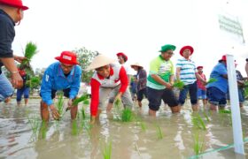 Momen Hari Tani Nasional, Petrokimia Gresik Ajak Rekan Jurnalis Gresik Menjadi Pahlawan Pangan Nasional