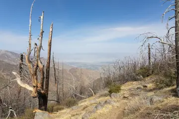 Pacific Crest Trail
