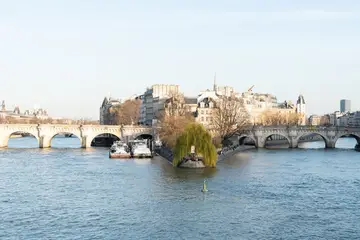 Vedettes du Pont Neuf