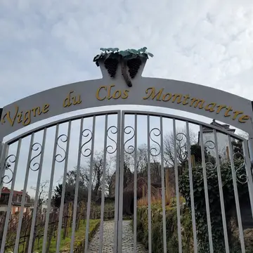 Vigne du Clos Montmartre