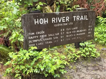Hoh River Trail