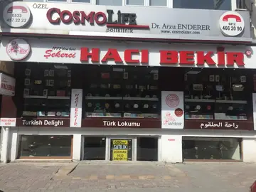 Ali Muhiddin Hacı Bekir