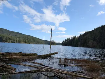 Moran State Park