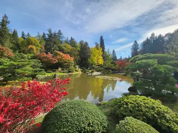 Washington Park Arboretum