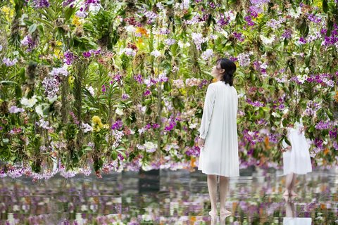teamLab Planets TOKYO DMM