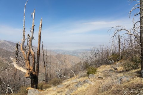 Pacific Crest Trail