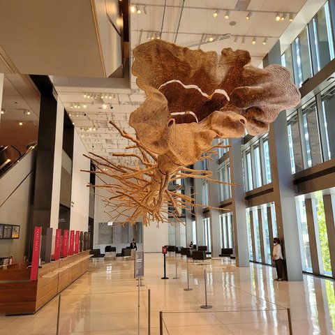 Seattle Art Museum