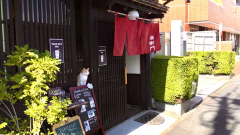 Cafe Neko-e-mon