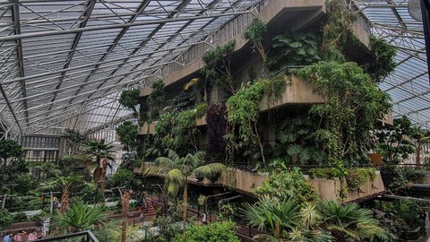 Barbican Conservatory