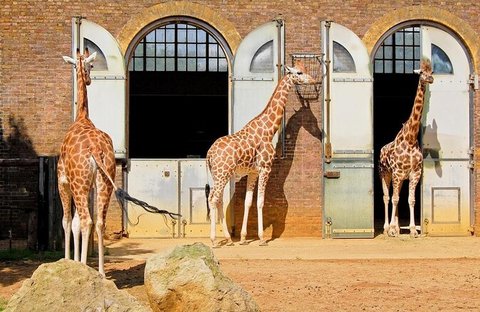 London Zoo