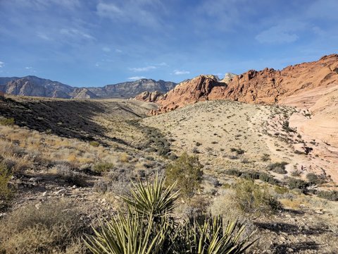 Red Rock Canyon National Conservation Area