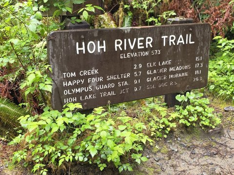 Hoh River Trail