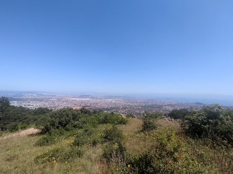 Aydos Ormanı