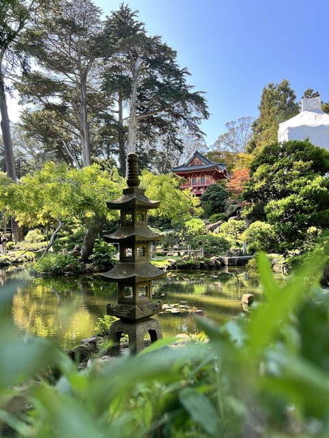 Japanese Tea Garden
