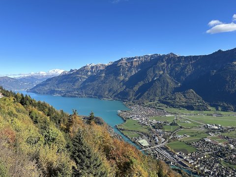 Harder Kulm