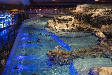 Sumida Aquarium