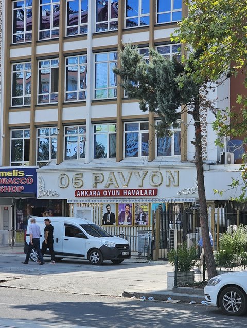 06 PAVYON